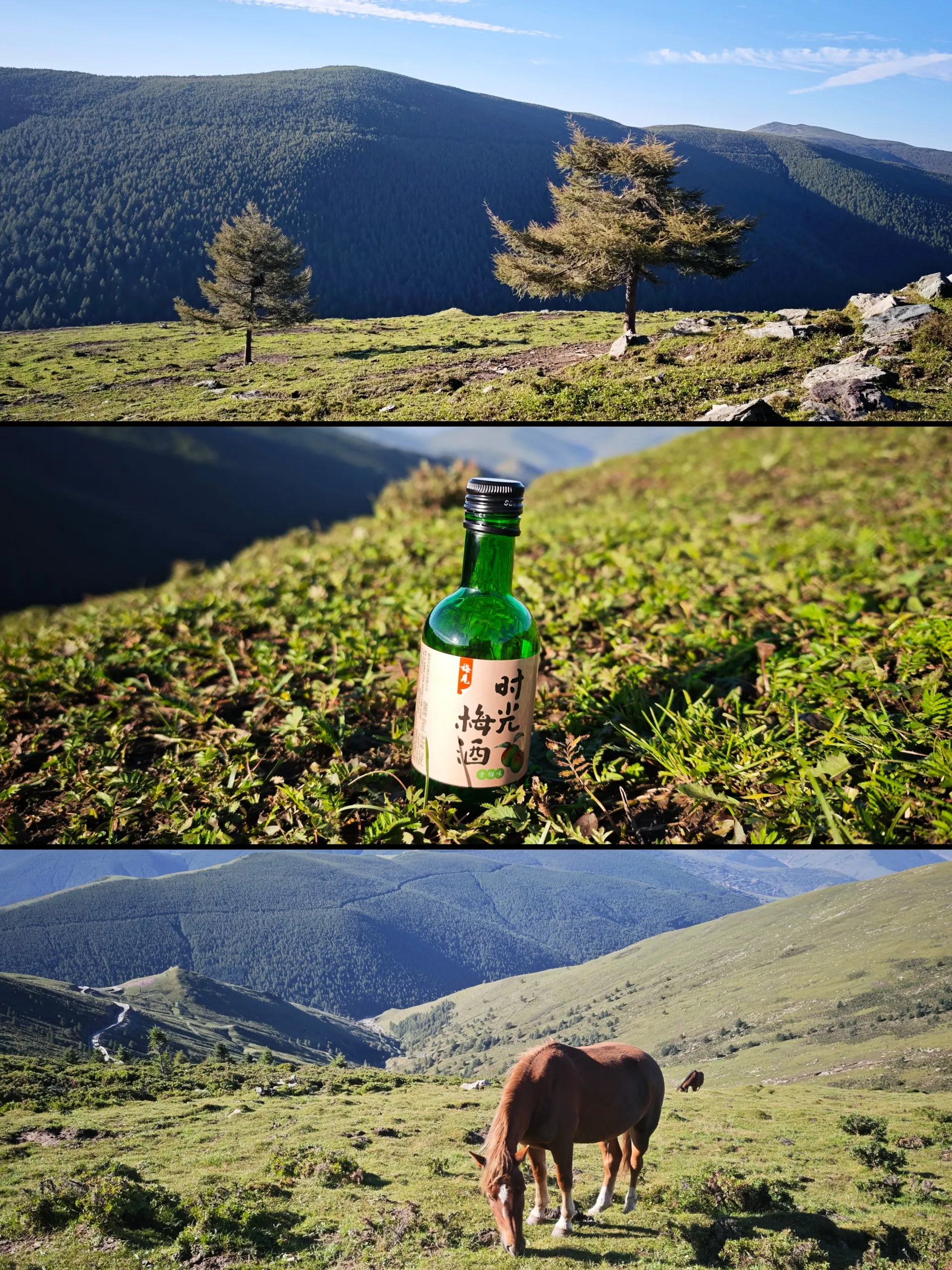 五台山环线
